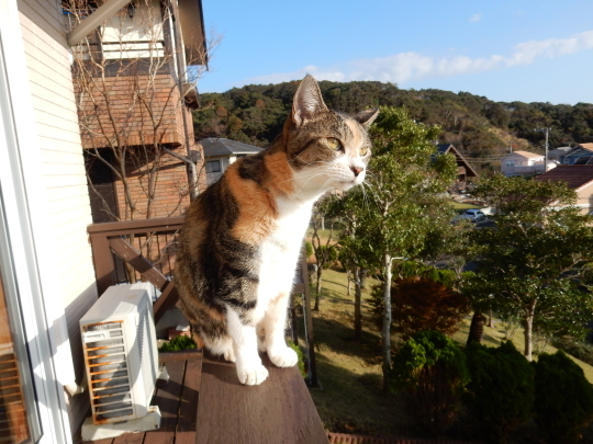 ’19,11,2(土)お蕎麦とステンレスボトルとおでん!_f0060461_09553029.jpg