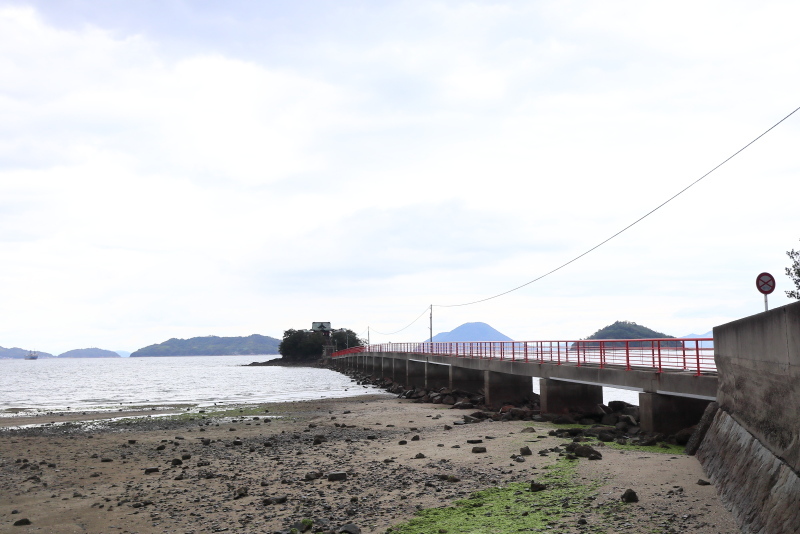 a0077663_16144320.jpg