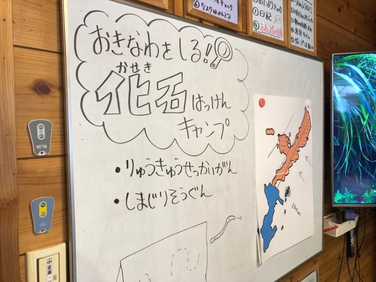 化石発見キャンプ〔１日目〕太古の時代へタイムスリップ！沖縄の地層を巡る３日間のスタートです。_d0363878_20483512.jpg