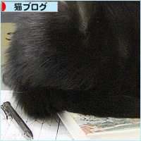 早朝の応援団_a0389088_08144531.jpg