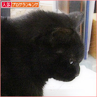 早朝の応援団_a0389088_08144693.jpg