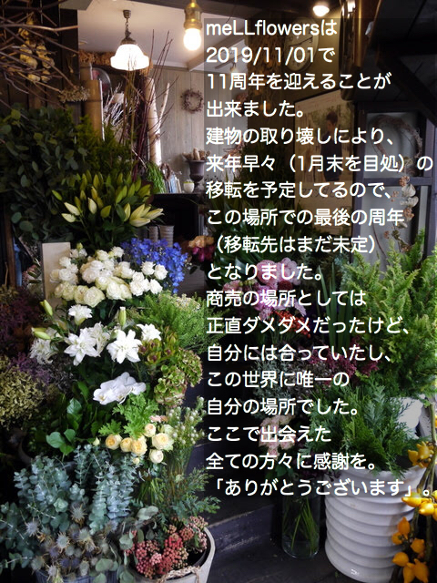 b0171193_23383408.jpeg