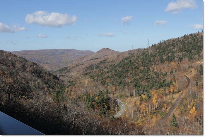 f0146493_22473328.jpg