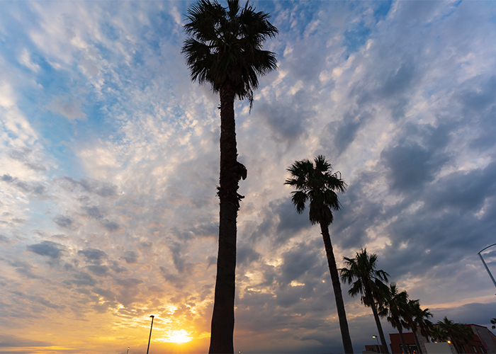 湘南海岸の夕景_b0145398_22035985.jpg