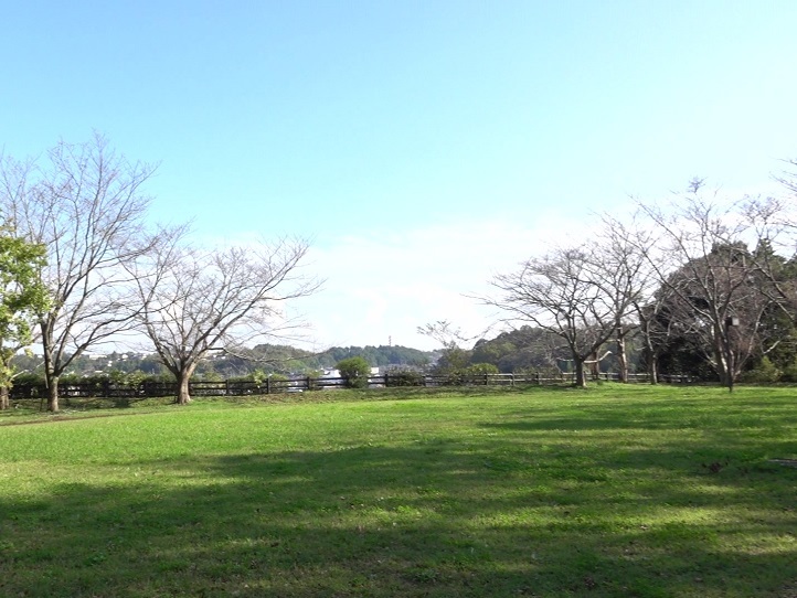 臼井城址公園と佐倉城址公園を散策 スローな生活