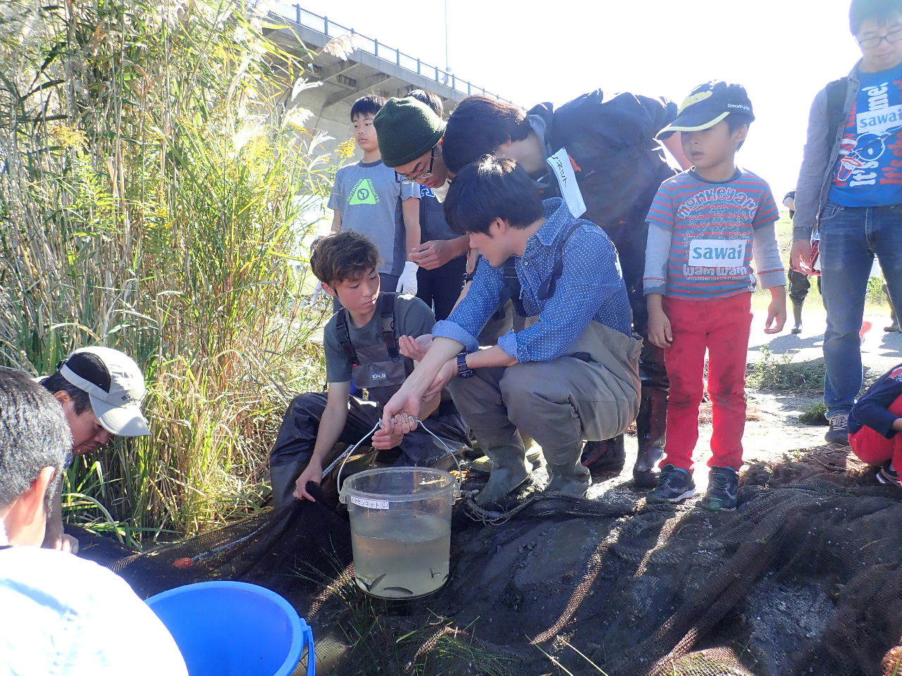 【ご報告】城北定例保全活動15_a0263106_22304315.jpg