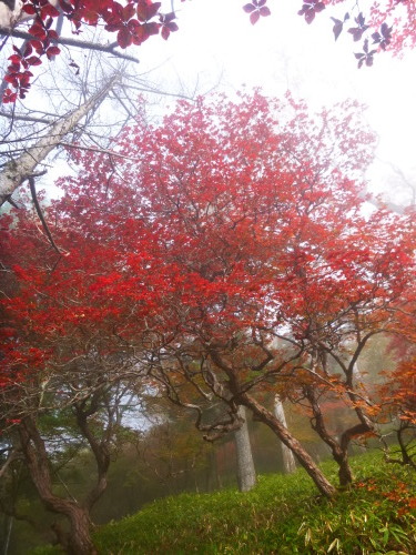 2019.10.16 男体山登山!_a0236914_07503644.jpg