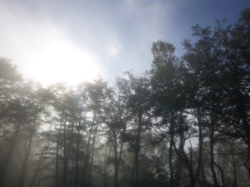 2019.10.16 男体山登山!_a0236914_07503717.jpg
