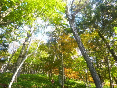 2019.10.16 男体山登山!_a0236914_07505040.jpg
