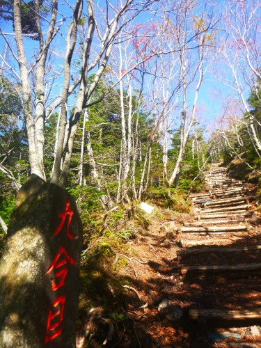 2019.10.16 男体山登山!_a0236914_07505179.jpg