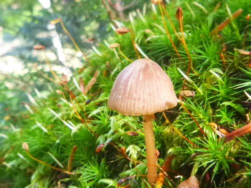 2019.10.16 男体山登山!_a0236914_07515238.jpg