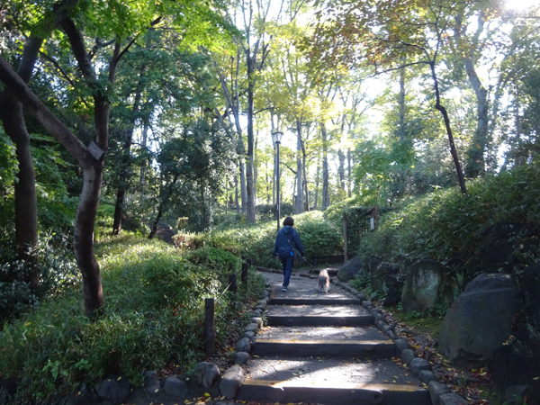 有栖川公園を朝散歩_f0097523_18315811.jpg