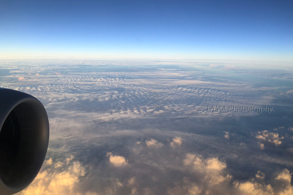 c0024729_11190494.jpg