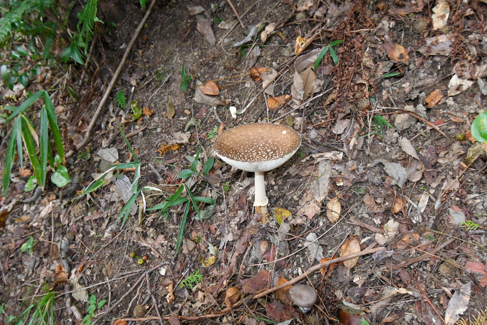 f0340732_14071208.jpg