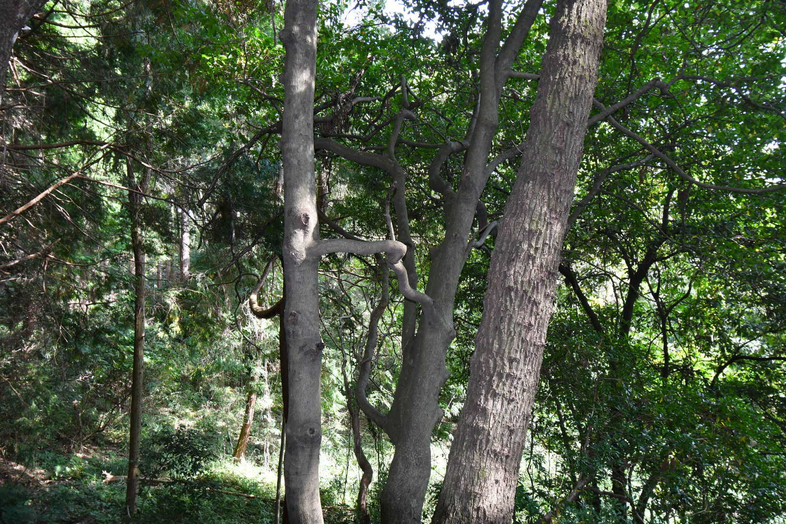 f0340732_14082853.jpg