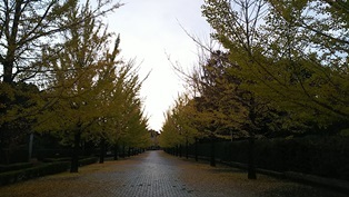 夜行日帰り秩父の旅 雲海編_b0080342_09345727.jpg