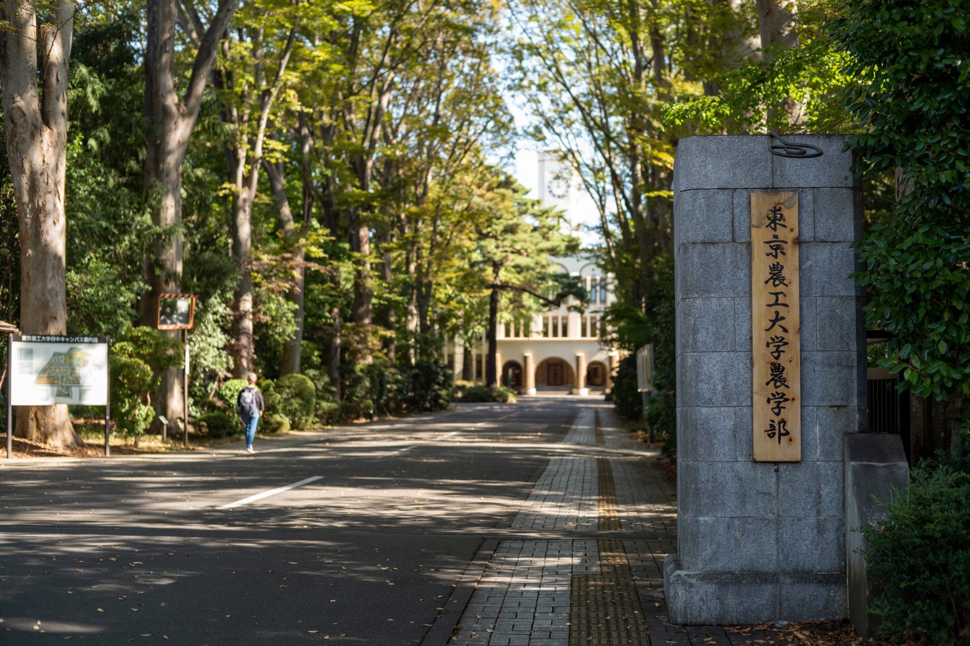 登録有形文化財 東京農工大学 府中キャンパスにある 農学部本館 に行ってみた 近代文化遺産見学案内所 登録有形文化財 東京農工大学 府中キャンパスにある 農学部本館 に行ってみた 近代文化遺産見学案内所