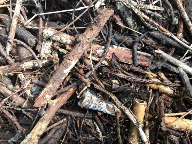 微生物が分解していく_d0101846_07073943.jpeg