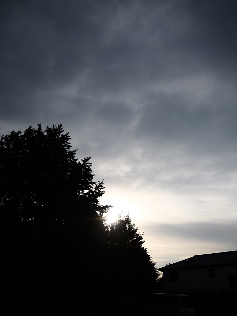 f0157247_16343568.jpg