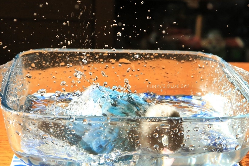 c0145250_10040572.jpg