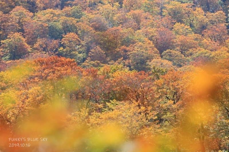 c0145250_10122942.jpg