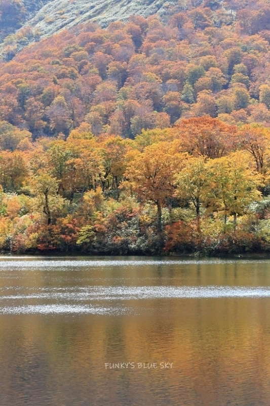 c0145250_10125145.jpg