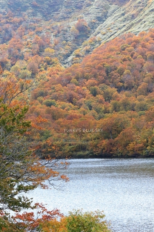 c0145250_10125759.jpg
