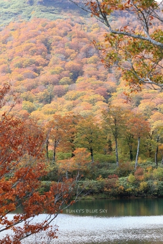c0145250_10130028.jpg