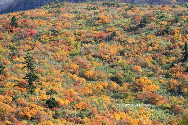 c0145250_10131250.jpg