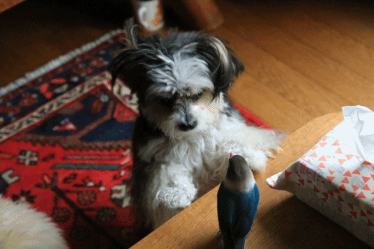 c0145250_11200756.gif