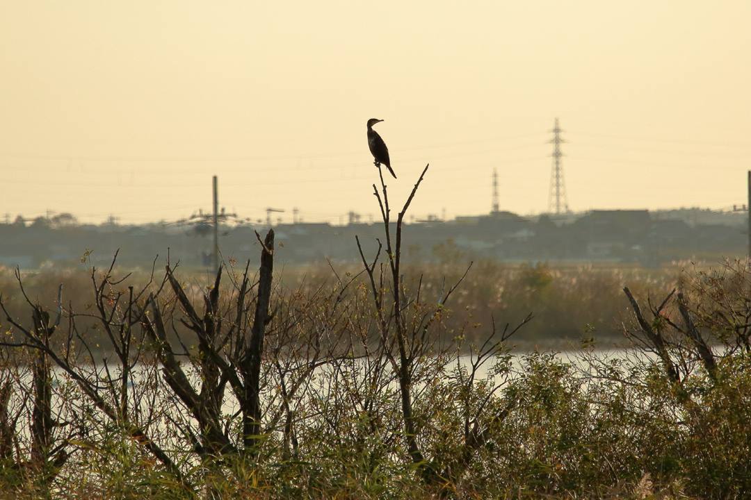 e0403850_23083862.jpg