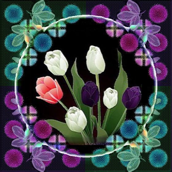 アニメ背景とボーダー枠 楽しい加工遊び : ホットタイム