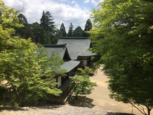 京都の旅\'19Ⅳ　京都青楓その２_e0326953_23382576.jpg