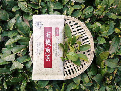菊池水源茶 ティパック入り煎茶「オフィスティー」販売開始!_a0254656_17163559.jpg