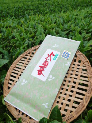 菊池水源茶 ティパック入り煎茶「オフィスティー」販売開始!_a0254656_17372161.jpg