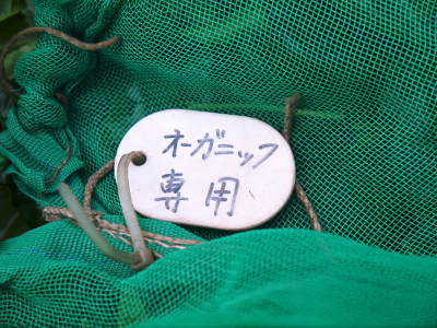 菊池水源茶 ティパック入り煎茶「オフィスティー」販売開始!_a0254656_17413184.jpg