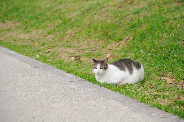 首里城正殿の中へ_c0081462_22264306.jpg
