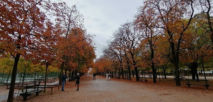 b0060363_23480447.jpeg