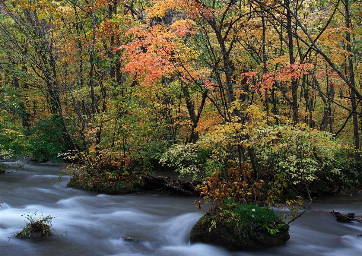 奥入瀬の秋　５_f0018464_22540443.jpg