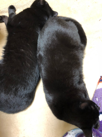 ✗?_e0355177_16393965.jpg