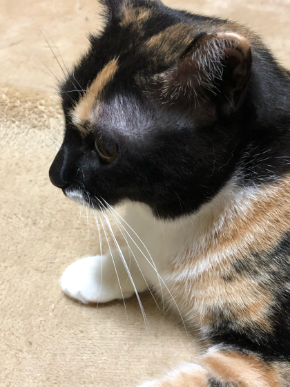 ✗?_e0355177_16422476.jpg