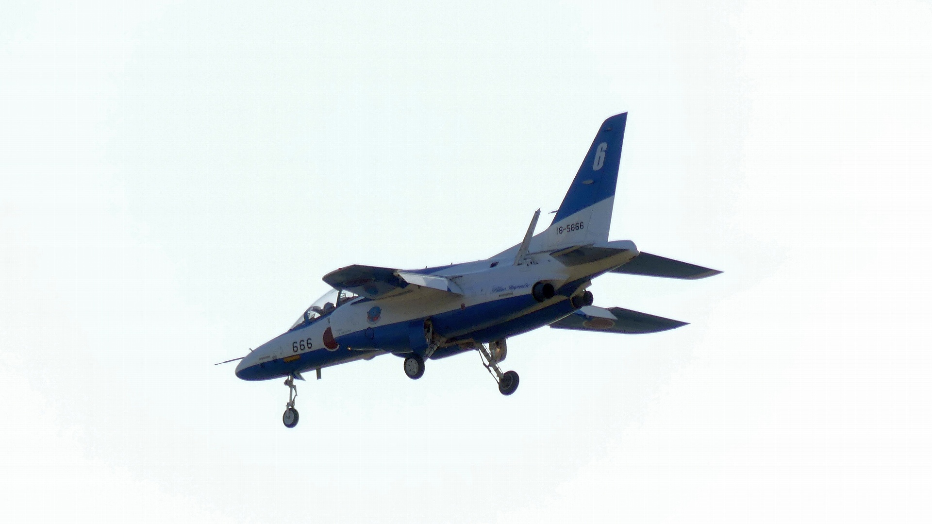 ブルースカイ・インパルス! 【 入間航空祭2019 ⑥ 】_a0185081_11565099.jpg