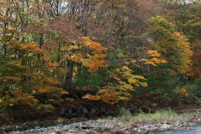e0165983_10500780.jpg