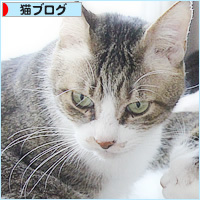 兄妹のきずな_a0389088_06183433.jpg
