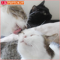 兄妹のきずな_a0389088_06183496.jpg