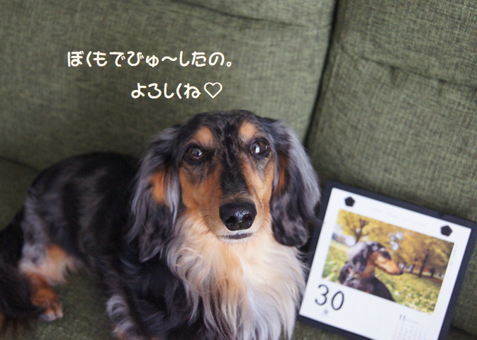 うなも2020でびゅう☆彡そしてなつぞら_f0195891_15511349.jpg