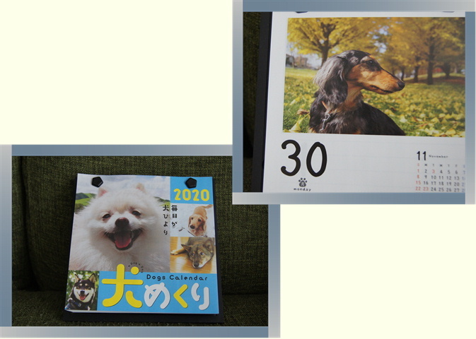 うなも2020でびゅう☆彡そしてなつぞら_f0195891_15512684.jpg