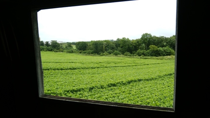 うなも2020でびゅう☆彡そしてなつぞら_f0195891_15534215.jpg