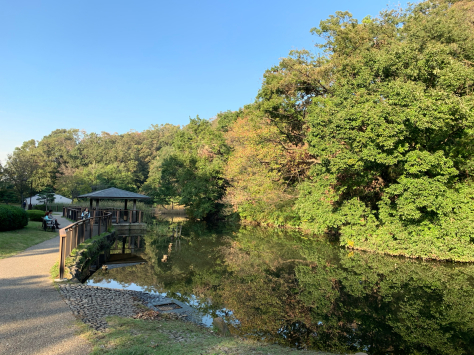 自宅から歩いて近い、久良岐公園を散策しました。_a0112393_14444061.jpg