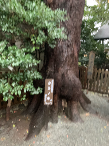 関東のお伊勢様、伊勢山皇大神宮に参拝。_a0112393_14492627.jpg
